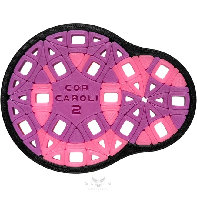 купить головоломку pluton's сor caroli 2