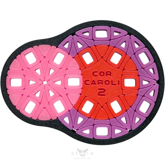 купить головоломку pluton's сor caroli 2