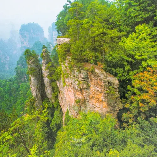купить картина по номерам 40х50 см национальный парк чжанцзяцзе