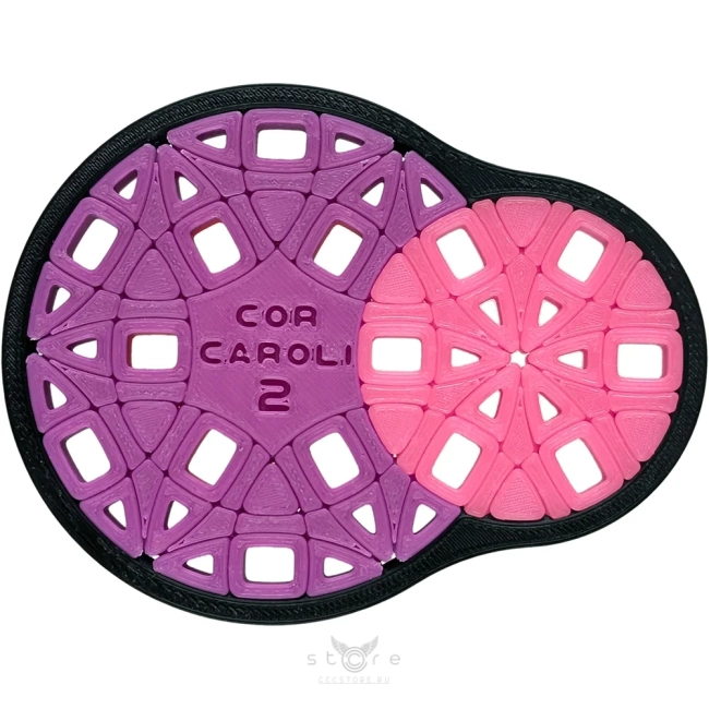 купить головоломку pluton's сor caroli 2