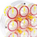 купить головоломку qiyi mofangge clock v2 m limited chinese new year 2025