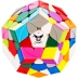 CCC Megaminx