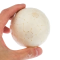 купить головоломку mf8 bauhinia ball