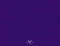 купить акриловая краска 200 яркая тёмно-сине-фиолетовая